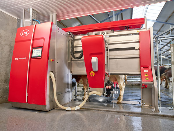 Lely Astronaut A5 Robotic Milking System