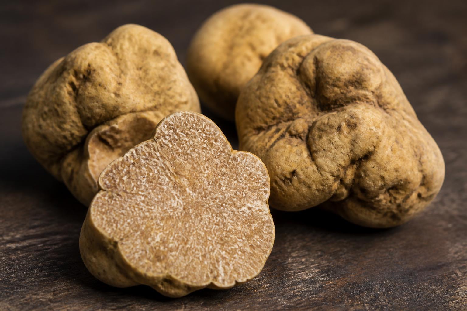 White Alba Truffles