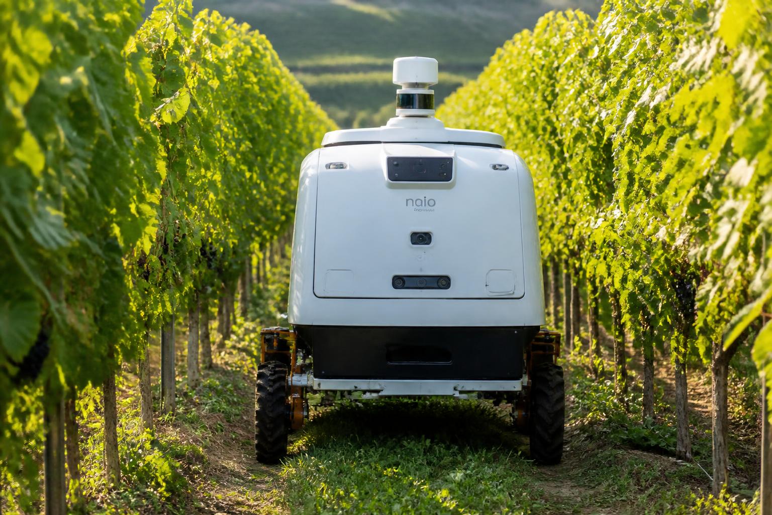 Autonomous Vineyard Robot Fleet